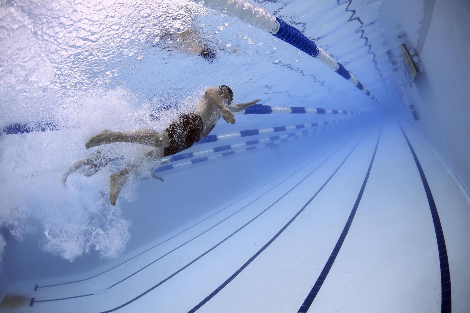 swimmer racing in pool lane