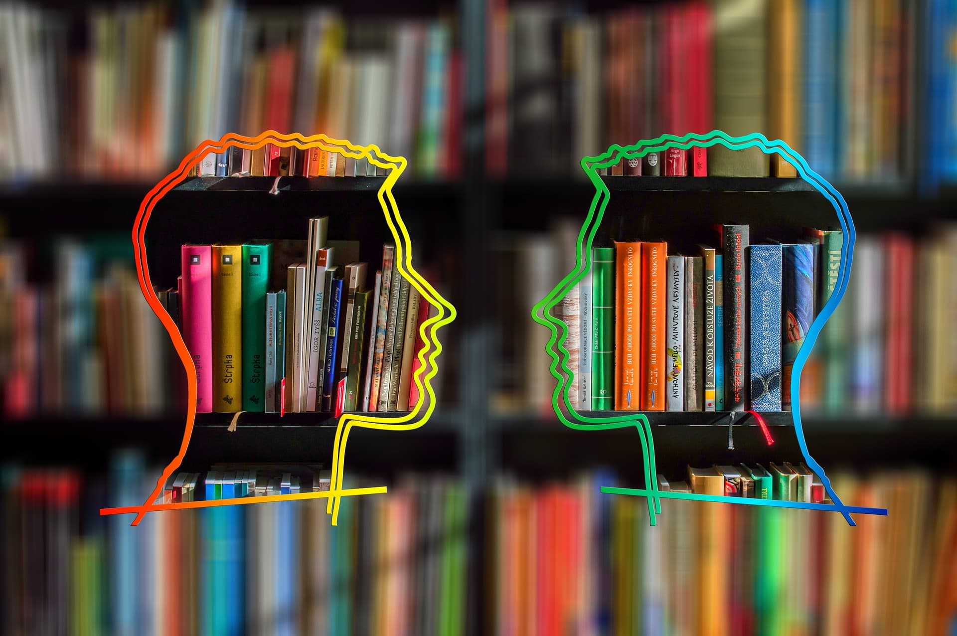 colourful silhouette of two faces against bookshelf full of books