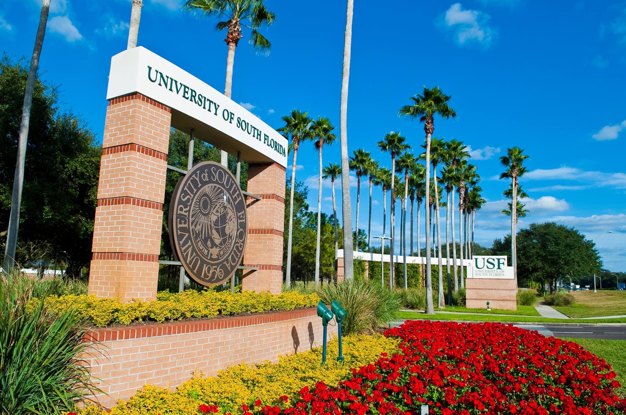 USF Campus